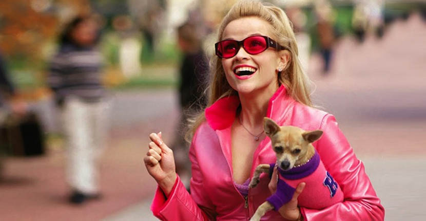 The ‘Elle’ in Legally Blonde stands for&nbsp;Limitless